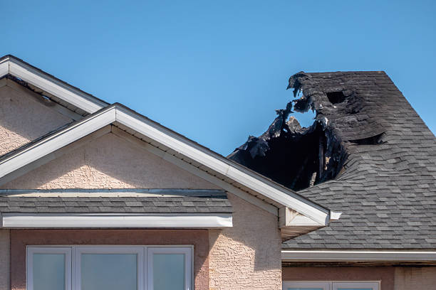 Top rated local Emergency Fire Cleanup specialists in Rockford, MN